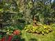 7N949 Stevens, St. Charles, IL 60175