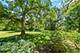 7N949 Stevens, St. Charles, IL 60175