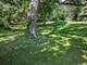 7N949 Stevens, St. Charles, IL 60175
