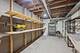 1125 Hohlfelder, Glencoe, IL 60022