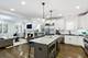 1833 W Addison Unit 2, Chicago, IL 60613