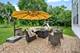 513 Wildflower, Streamwood, IL 60107
