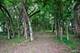 Lot 17 Timber Ridge, Yorkville, IL 60560
