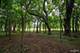 Lot 17 Timber Ridge, Yorkville, IL 60560