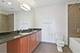 1819 S Michigan Unit 406, Chicago, IL 60616