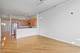 1819 S Michigan Unit 406, Chicago, IL 60616