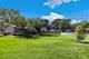 3104 Andrea, Woodridge, IL 60517
