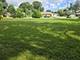 7207 Church, Morton Grove, IL 60053