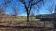 7809 Woodward Unit 1A, Woodridge, IL 60517
