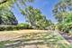 6 S Donald, Arlington Heights, IL 60004