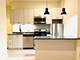 1001 W 16th, Chicago, IL 60608