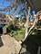 1618 Ashland, Des Plaines, IL 60016