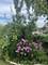 6028 N Winchester, Chicago, IL 60660