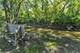 17339 Kimbark, South Holland, IL 60473