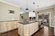 1401 N Cleaver, Chicago, IL 60642