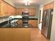 18212 Glen Swilly, Tinley Park, IL 60477