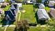 8041 N Merrill, Niles, IL 60714