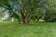 501 Bounty, Poplar Grove, IL 61065