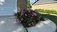 522 E Juniper, Palatine, IL 60074