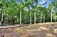 20602 Abbey, Frankfort, IL 60423