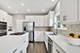 3111 Mini, Wadsworth, IL 60083