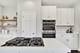 3111 Mini, Wadsworth, IL 60083