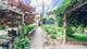 4542 S Sawyer, Chicago, IL 60632