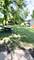 34758 N Forest, Ingleside, IL 60041