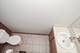 107 Hammond, Wauconda, IL 60084