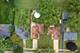 1038 Martingale, Bartlett, IL 60103