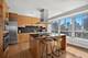 800 N Michigan Unit 2202, Chicago, IL 60611