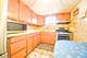 4748 N Newland, Harwood Heights, IL 60706
