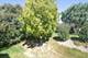 78A Foxwood Unit M169, Lake Barrington, IL 60010