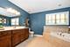 21466 English, Frankfort, IL 60423