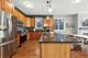 1524 W Walton Unit 1, Chicago, IL 60642