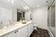 1250 S Michigan Unit 2900, Chicago, IL 60605