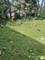 1648 Linden, Hanover Park, IL 60133