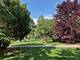 825 Pearson Unit 3E, Des Plaines, IL 60016
