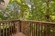 4327 W 81st, Chicago, IL 60652