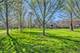 2426 W Greenleaf Unit 1, Chicago, IL 60645