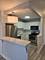 720 W Gordon Unit 6E, Chicago, IL 60613