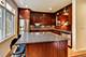 1441 S Indiana, Chicago, IL 60605