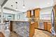 9314 Menard, Morton Grove, IL 60053