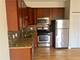 2120 W Washington Unit 203, Chicago, IL 60612