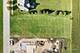 7750 Fairway, Yorkville, IL 60560