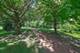 11528 Brookwood, Orland Park, IL 60467