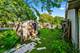 461 Cumberland, Bolingbrook, IL 60440