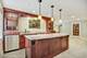 8656 Johnston, Burr Ridge, IL 60527
