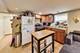 5000 W Grace, Chicago, IL 60641