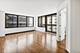 222 E Pearson Unit 1609, Chicago, IL 60611